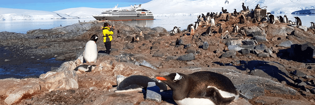 Backroads’ Far & Away Favorites - background banner